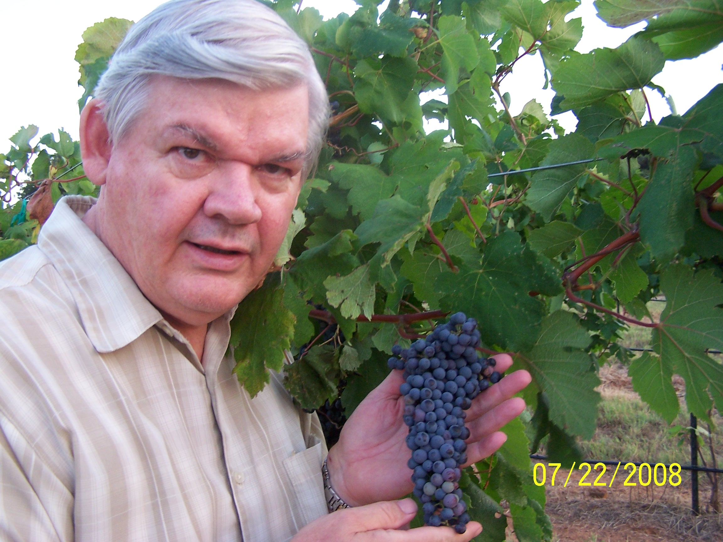 [Travis at Travis' Vineyard]